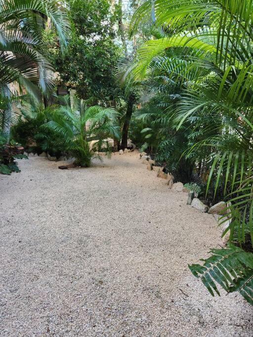 Apartment With Private Pool Tulum Chemuyil ภายนอก รูปภาพ